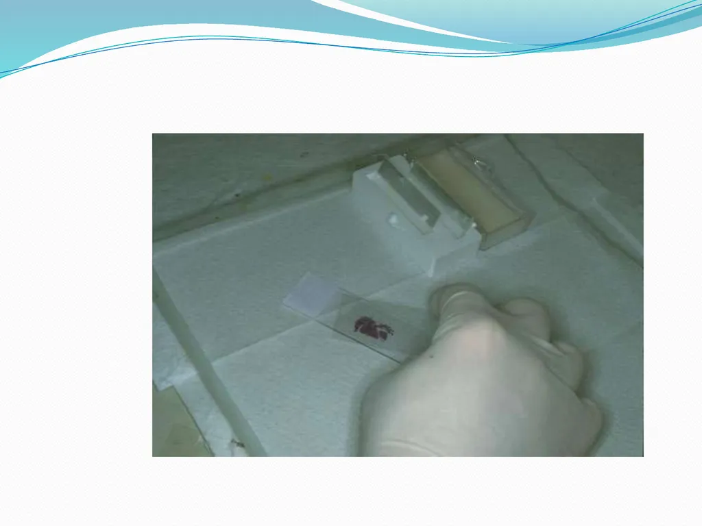 Tissue Processing Dr. Rucha Gore HISTOLOGY : It is - slide 45 of 50