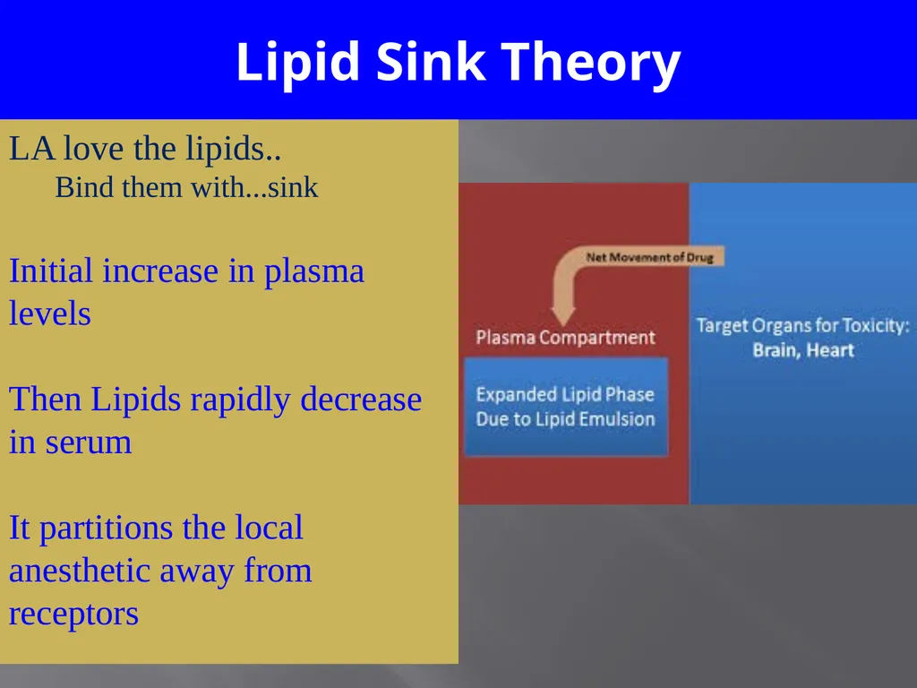 Local Anesthesia Systemic Toxicity LA(S)T - slide 13 of 27