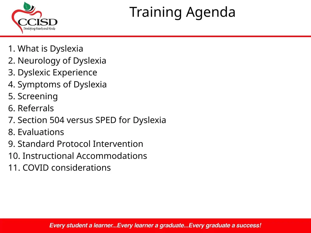 Dyslexia NOW! By Mrs. Murray Bergman, M.S.Ed - slide 3 of 26
