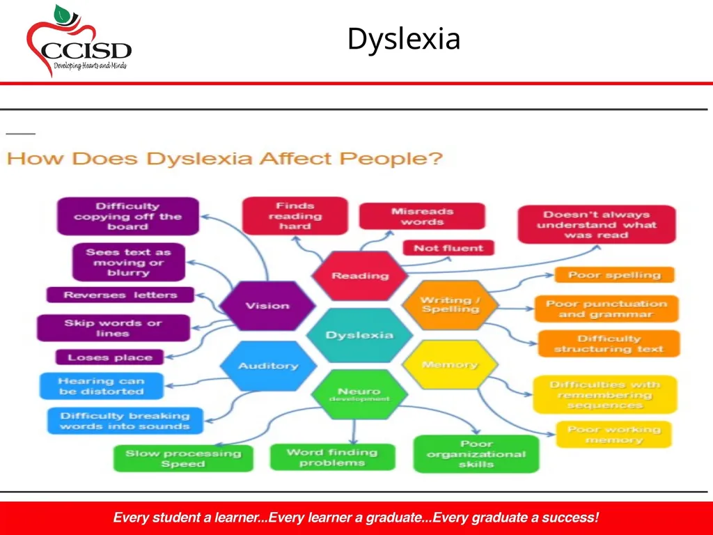 Dyslexia NOW! By Mrs. Murray Bergman, M.S.Ed - slide 5 of 26