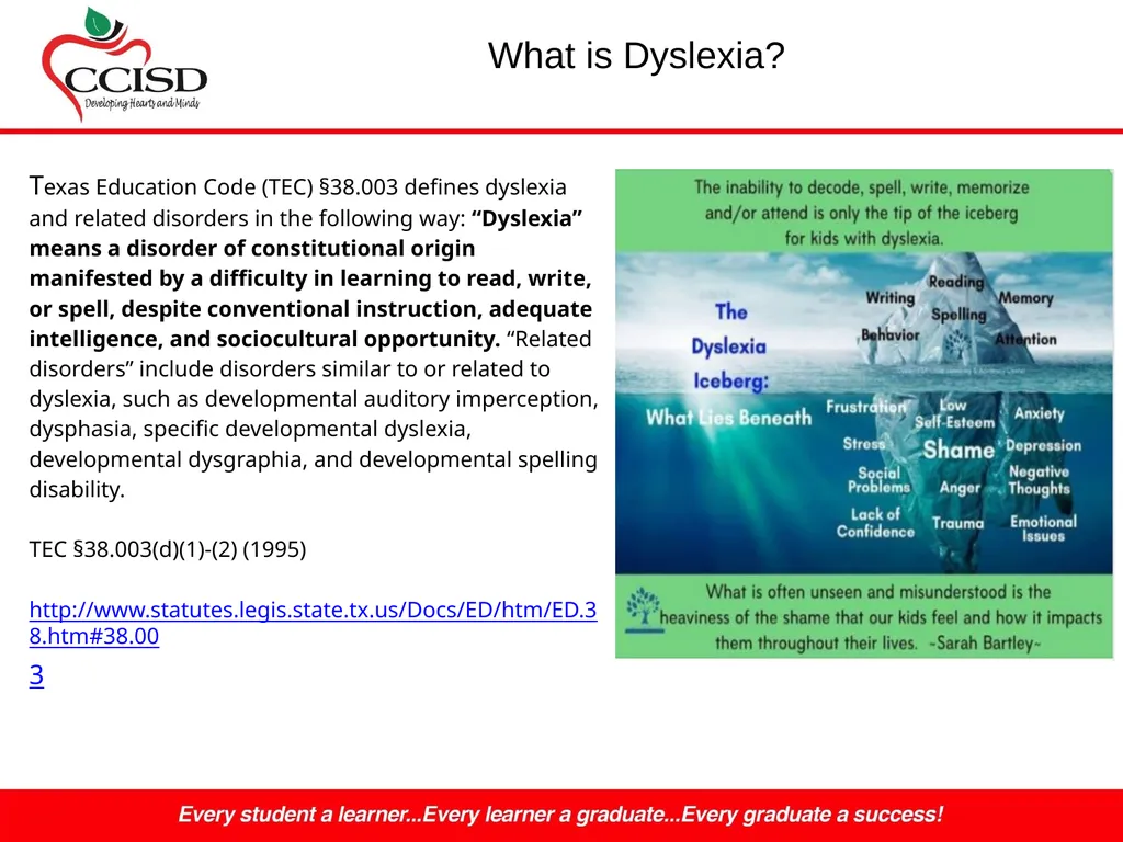 Dyslexia NOW! By Mrs. Murray Bergman, M.S.Ed - slide 4 of 26