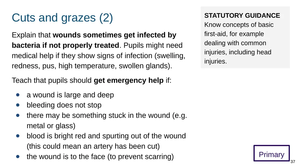 Teaching basic first aid ADAPT THIS FOR YOUR OWN - slide 37 of 104
