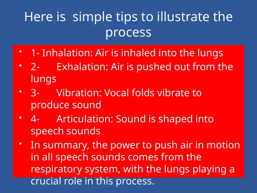 Organs of Speech Source of power in Speech Sounds - slide 7 of 20