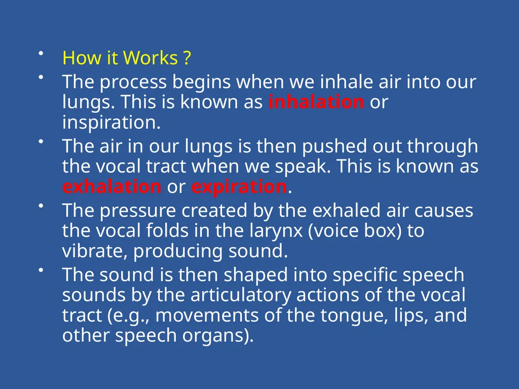 Organs of Speech Source of power in Speech Sounds - slide 6 of 20