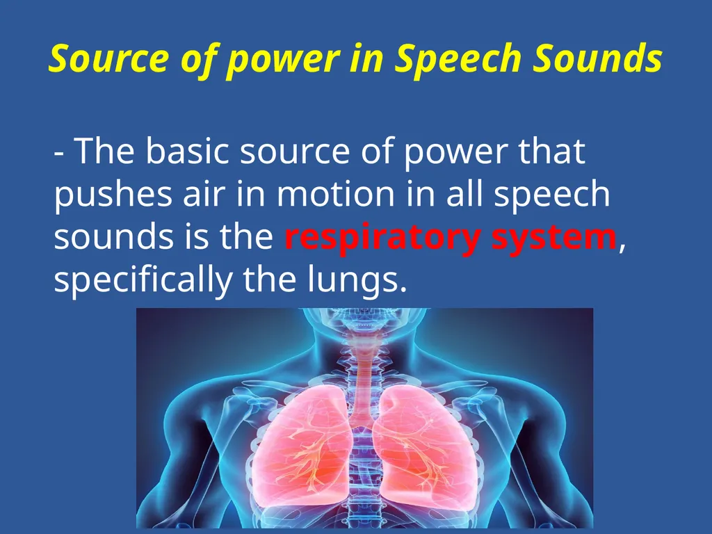 Organs of Speech Source of power in Speech Sounds - slide 5 of 20