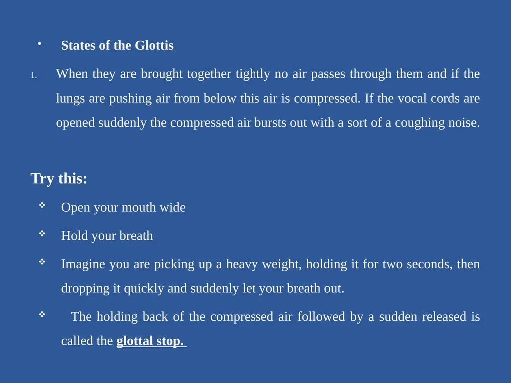 Organs of Speech Source of power in Speech Sounds - slide 10 of 20