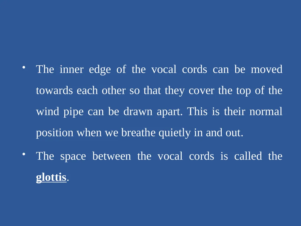 Organs of Speech Source of power in Speech Sounds - slide 9 of 20