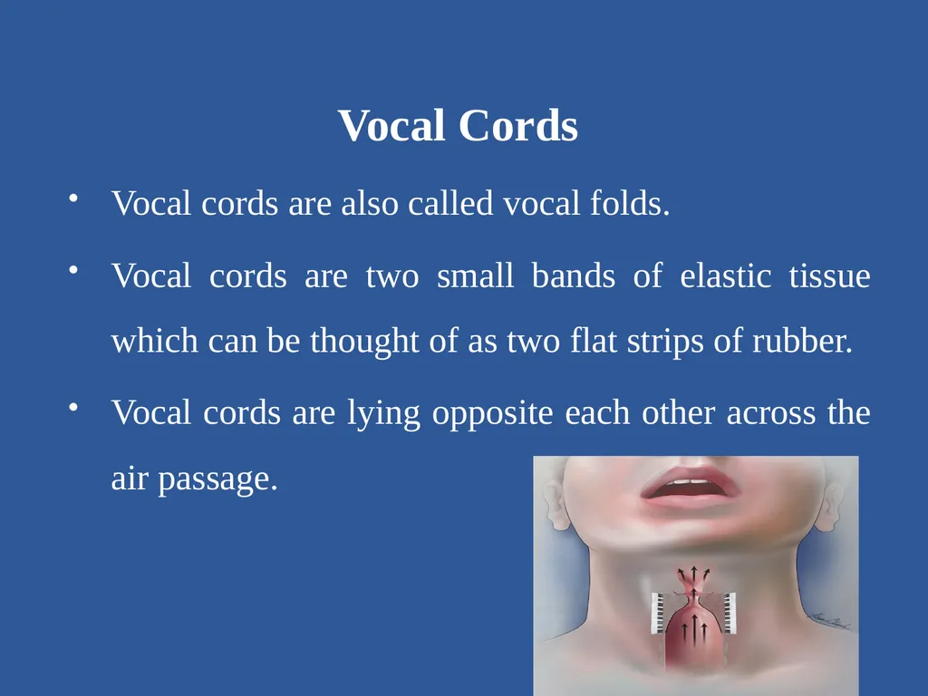 Organs of Speech Source of power in Speech Sounds - slide 8 of 20