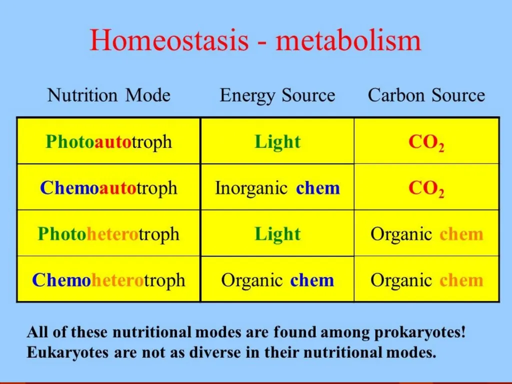 Soil Humus Humus is the organic residue in the - slide 18 of 21