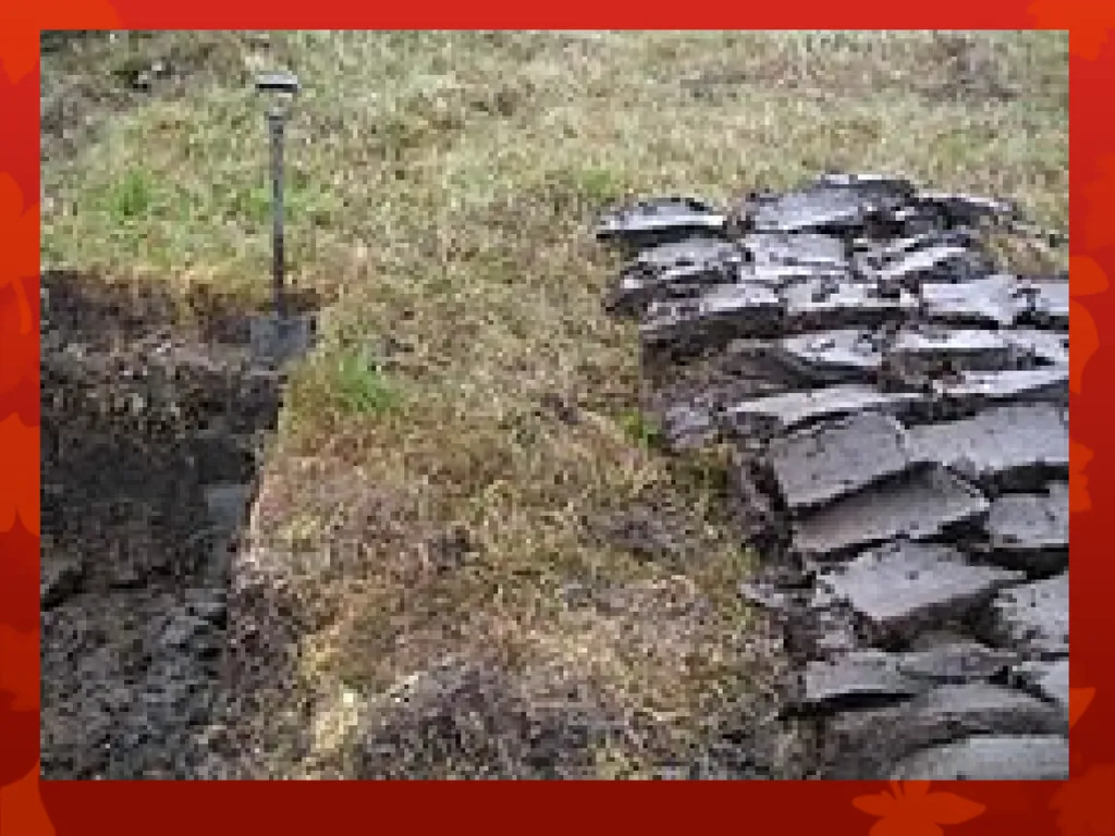 Soil Humus Humus is the organic residue in the - slide 2 of 21