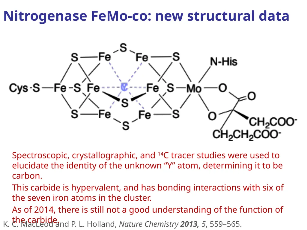 Nitrogen fixation: a structural inorganic mystery? - slide 6 of 6