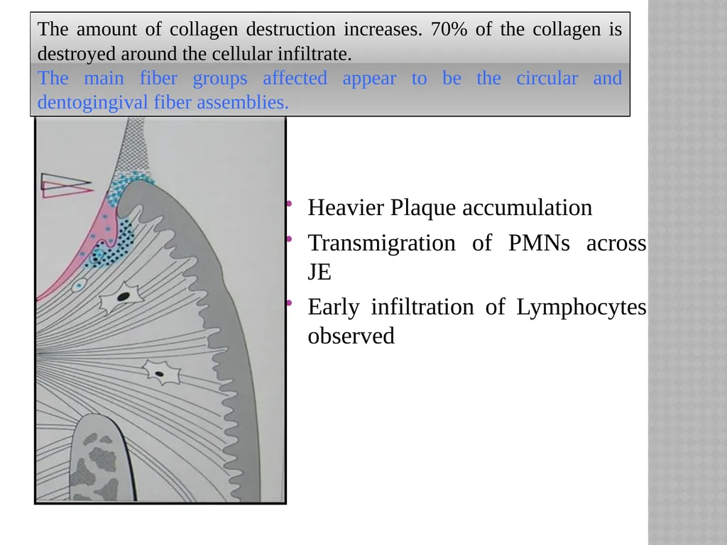SIBAR INSTITUTE OF DENTAL SCIENCES DEPARTMENT OF - slide 16 of 29