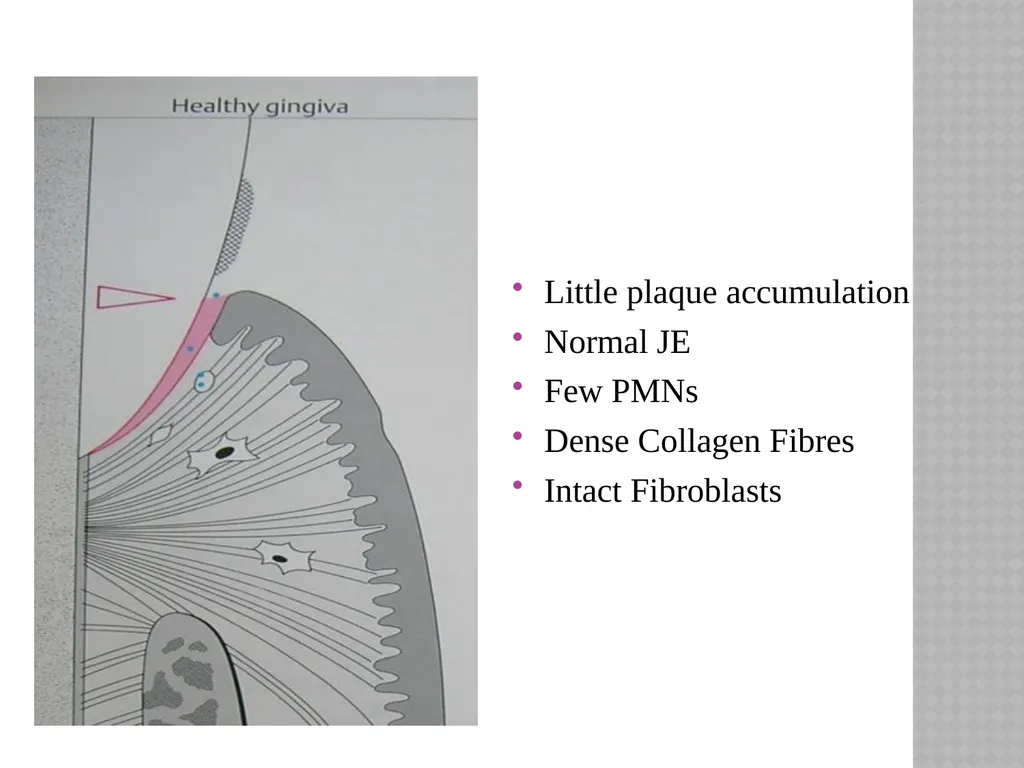 SIBAR INSTITUTE OF DENTAL SCIENCES DEPARTMENT OF - slide 7 of 29