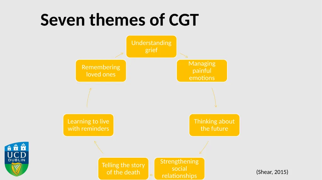 Using Action Research to Adapt Complicated Grief - slide 9 of 16