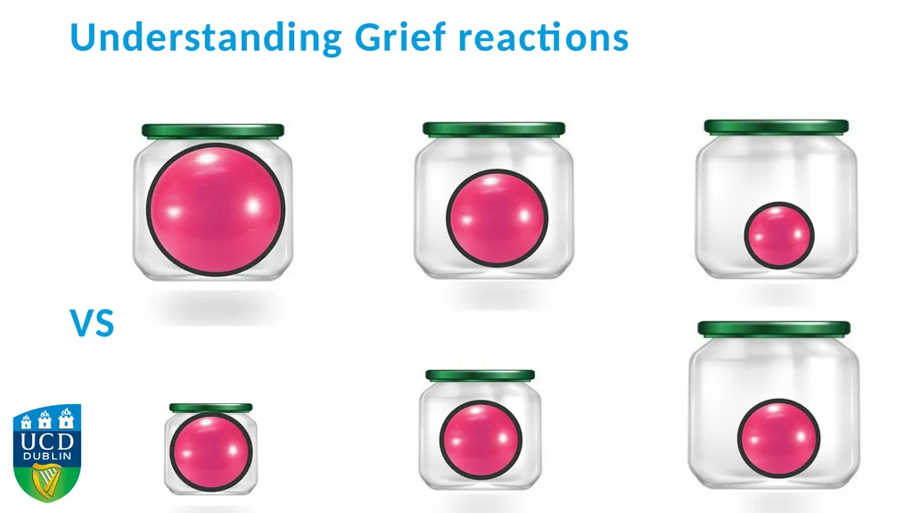 Using Action Research to Adapt Complicated Grief - slide 14 of 16