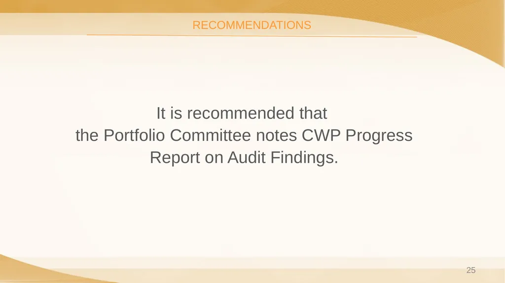 COMMUNITY WORK PROGRAMME AUDIT OUTCOMES PORTFOLIO - slide 25 of 26