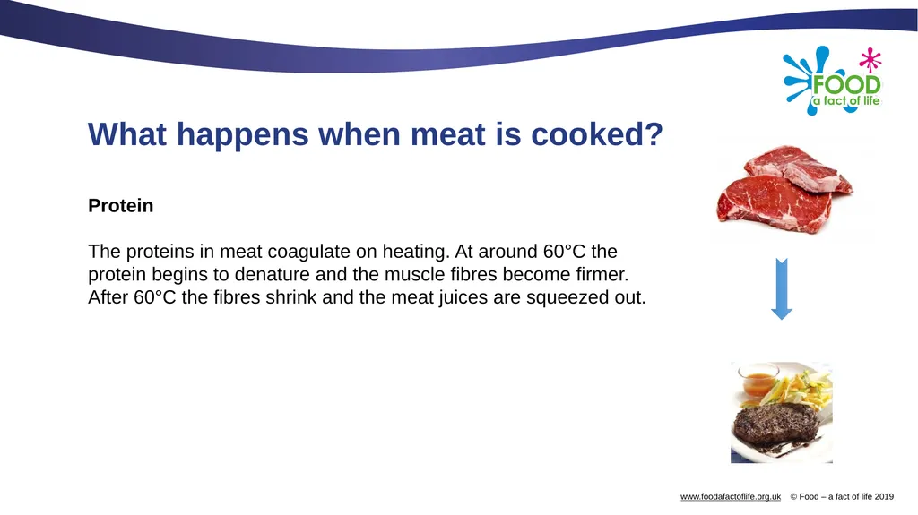 The science of red meat What happens when meat is - slide 2 of 13