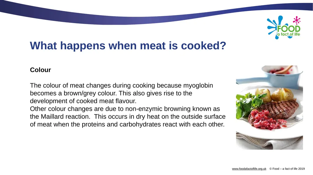 The science of red meat What happens when meat is - slide 5 of 13