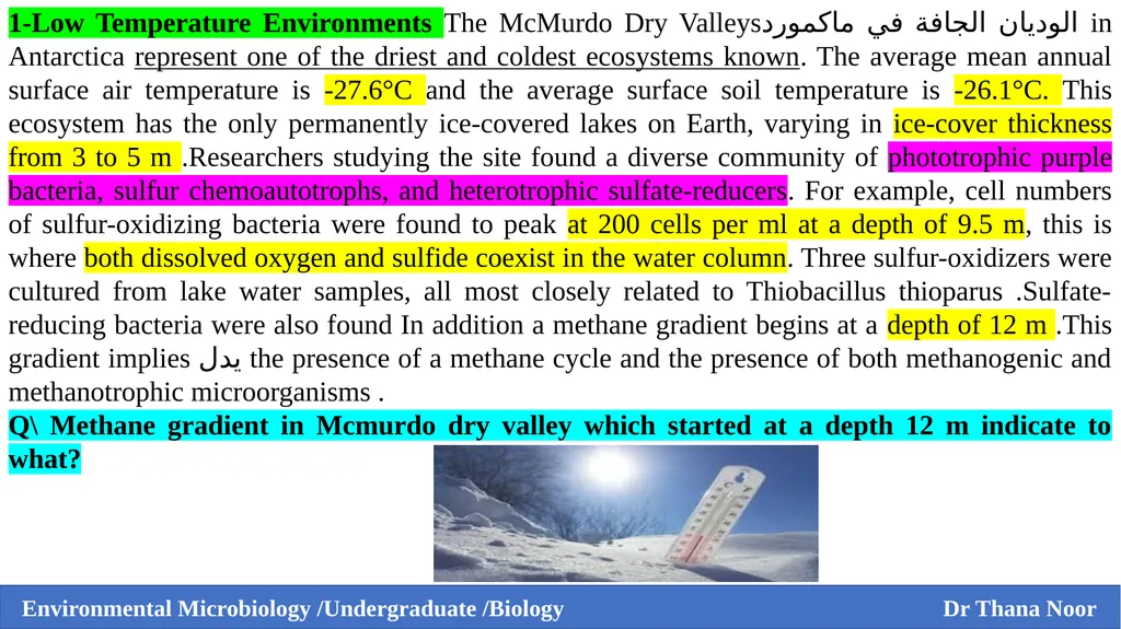 Environmental Microbiology Third Grade / Biology - slide 4 of 9