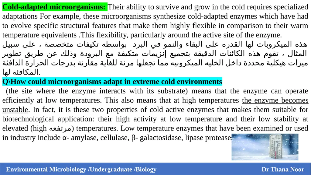 Environmental Microbiology Third Grade / Biology - slide 5 of 9