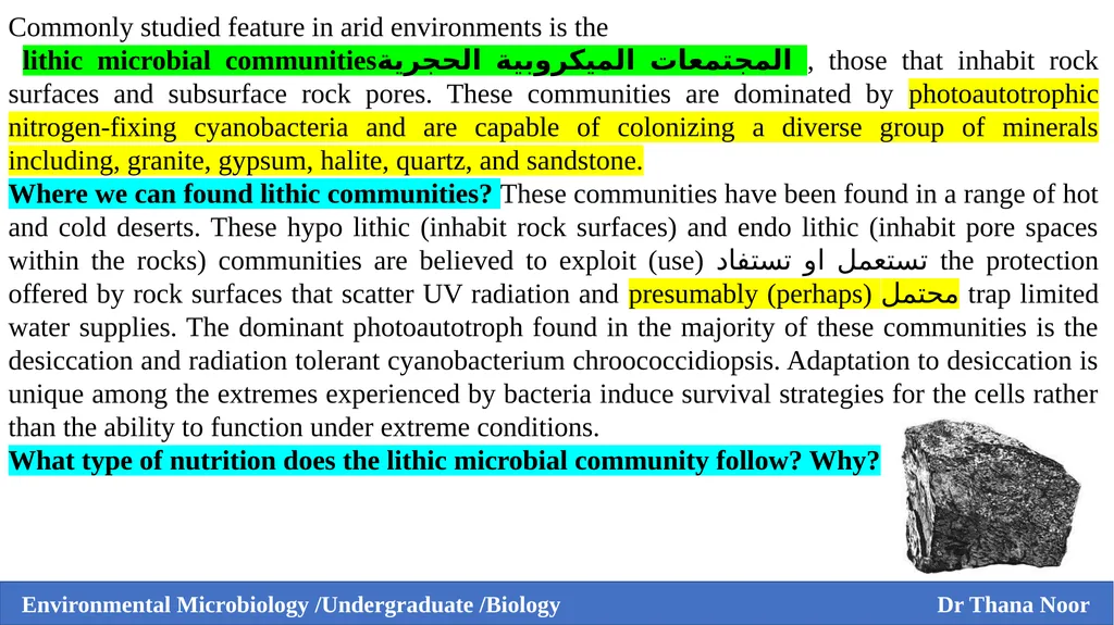 Environmental Microbiology Third Grade / Biology - slide 7 of 9