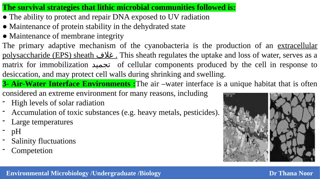 Environmental Microbiology Third Grade / Biology - slide 8 of 9