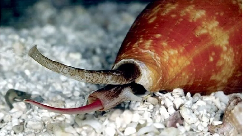 Deadly Venoms Help Rather Than Hurt Venomous - slide 10 of 13