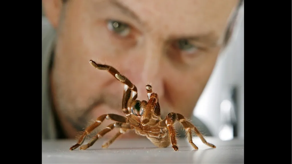 Deadly Venoms Help Rather Than Hurt Venomous - slide 7 of 13