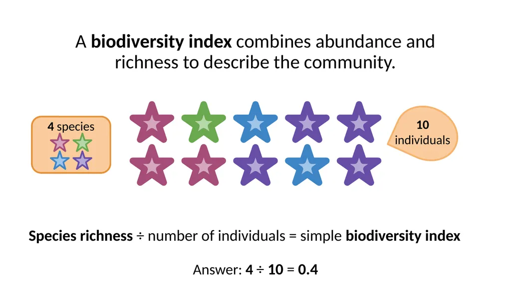 A Deep Dive Calculating Biodiversity How do we use - slide 10 of 10