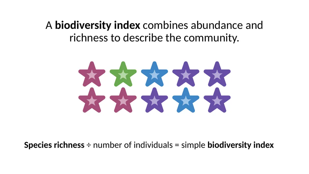 A Deep Dive Calculating Biodiversity How do we use - slide 8 of 10