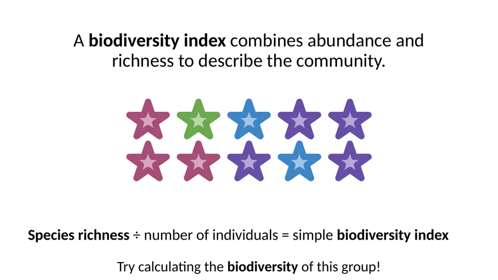 A Deep Dive Calculating Biodiversity How do we use - slide 9 of 10