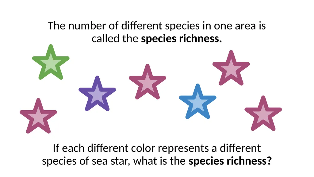 A Deep Dive Calculating Biodiversity How do we use - slide 3 of 10