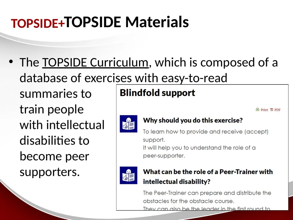 Peer-Support A model of supported decision-making - slide 8 of 16