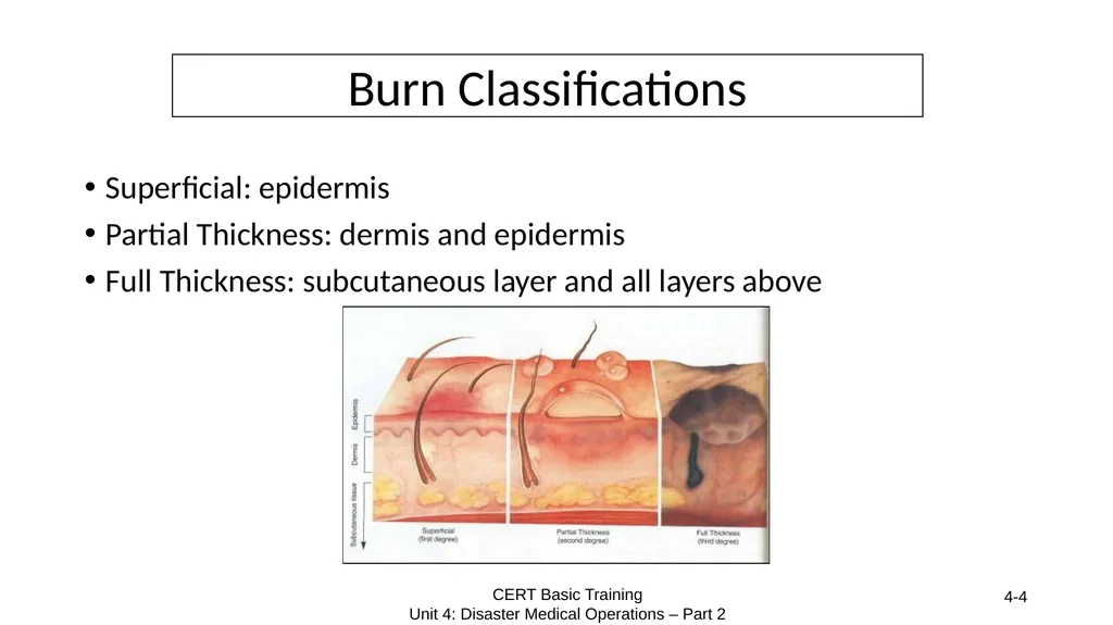 Gather Facts Assess Damage Consider Probabilities - slide 4 of 13
