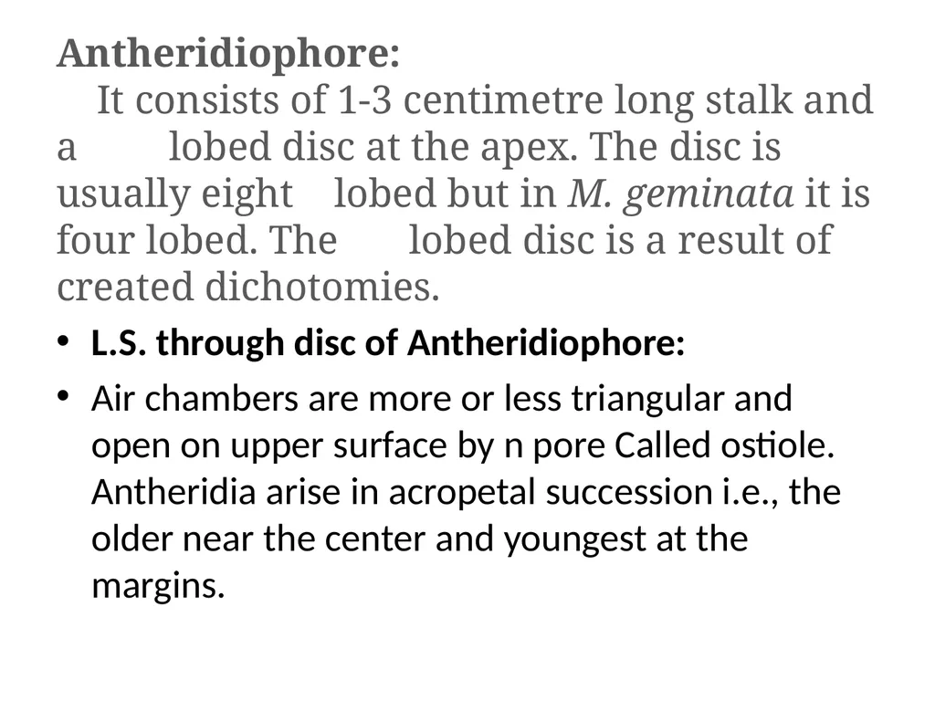 Dr Sahabuddin Ahmed Associate Professor , Dept. of - slide 23 of 46