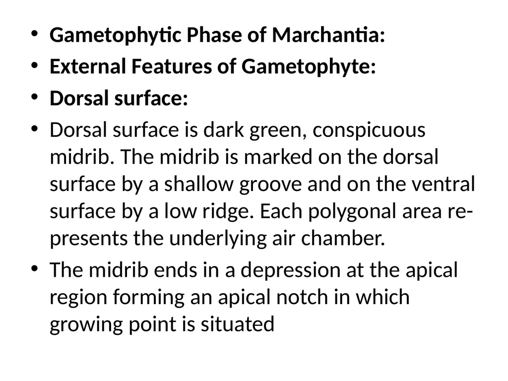 Dr Sahabuddin Ahmed Associate Professor , Dept. of - slide 4 of 46