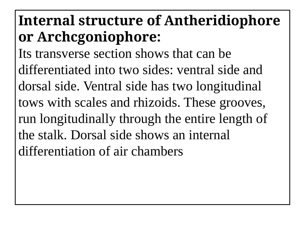 Dr Sahabuddin Ahmed Associate Professor , Dept. of - slide 21 of 46