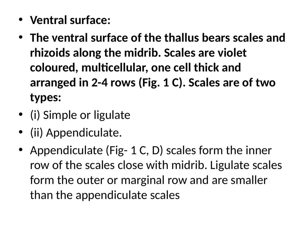 Dr Sahabuddin Ahmed Associate Professor , Dept. of - slide 6 of 46