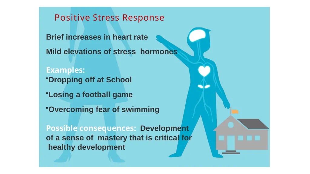 Childhood experiences are powerful determinants of - slide 9 of 23