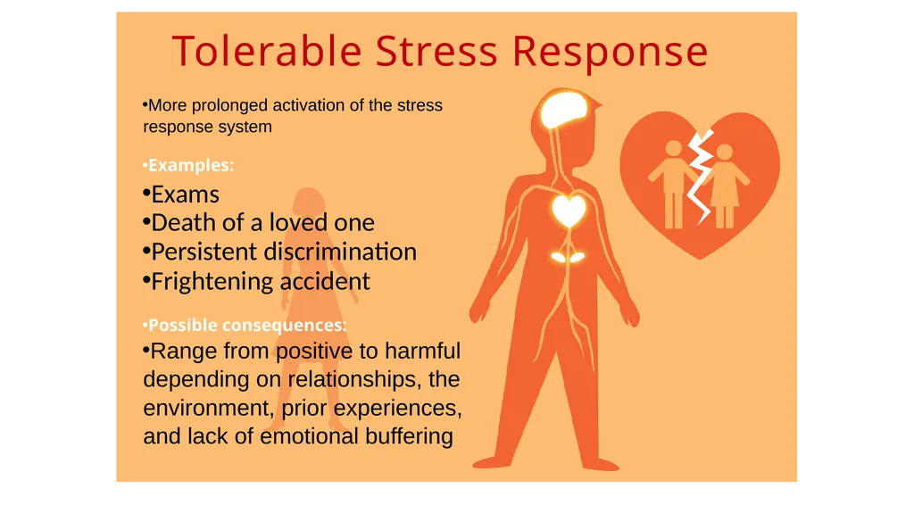 Childhood experiences are powerful determinants of - slide 10 of 23