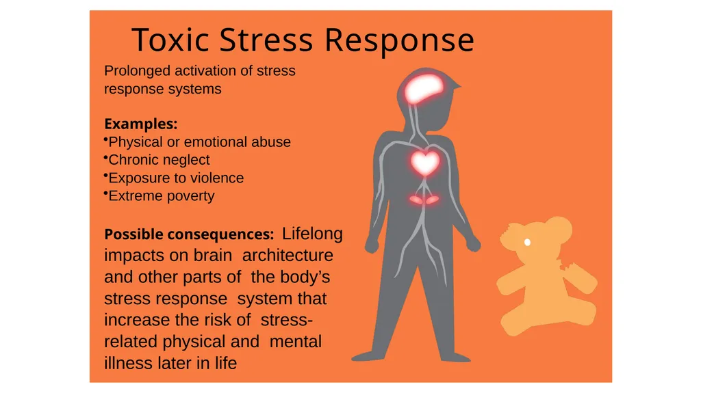 Childhood experiences are powerful determinants of - slide 11 of 23
