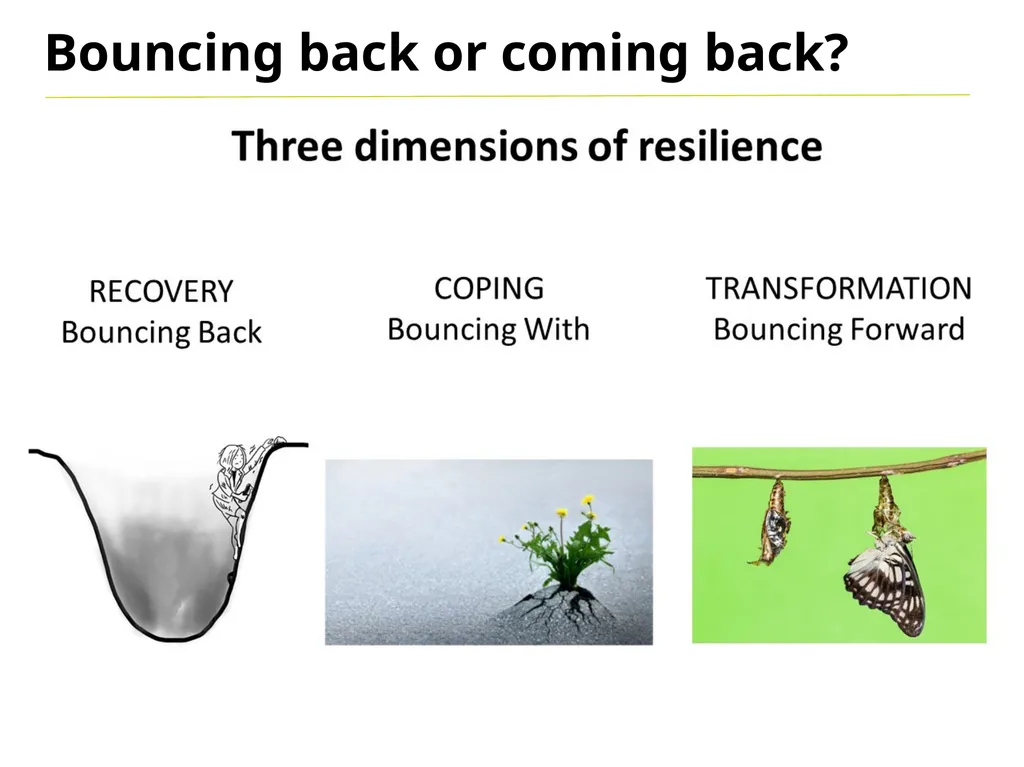 Resilience Bend don’t break Resilience in a - slide 4 of 16
