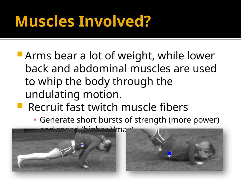 Breaking Down the Worm Katie Alger April 21, 2011 - slide 7 of 19