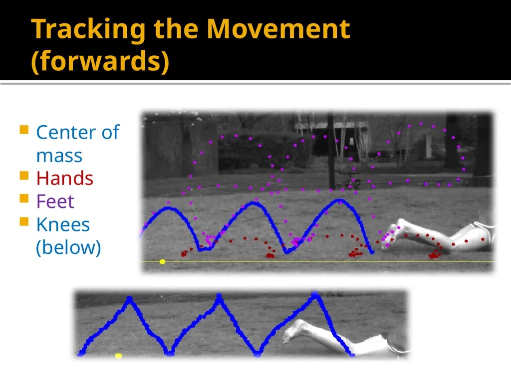 Breaking Down the Worm Katie Alger April 21, 2011 - slide 9 of 19