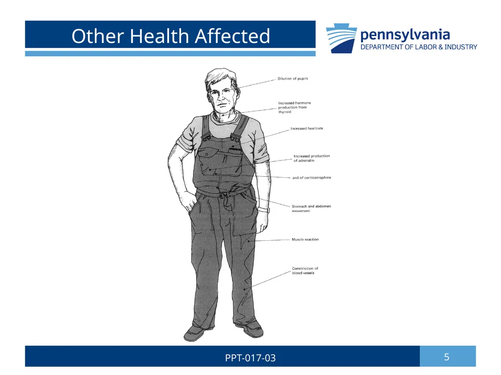 Hearing Conservation & Noise Control 1 PPT-017-03 - slide 5 of 29