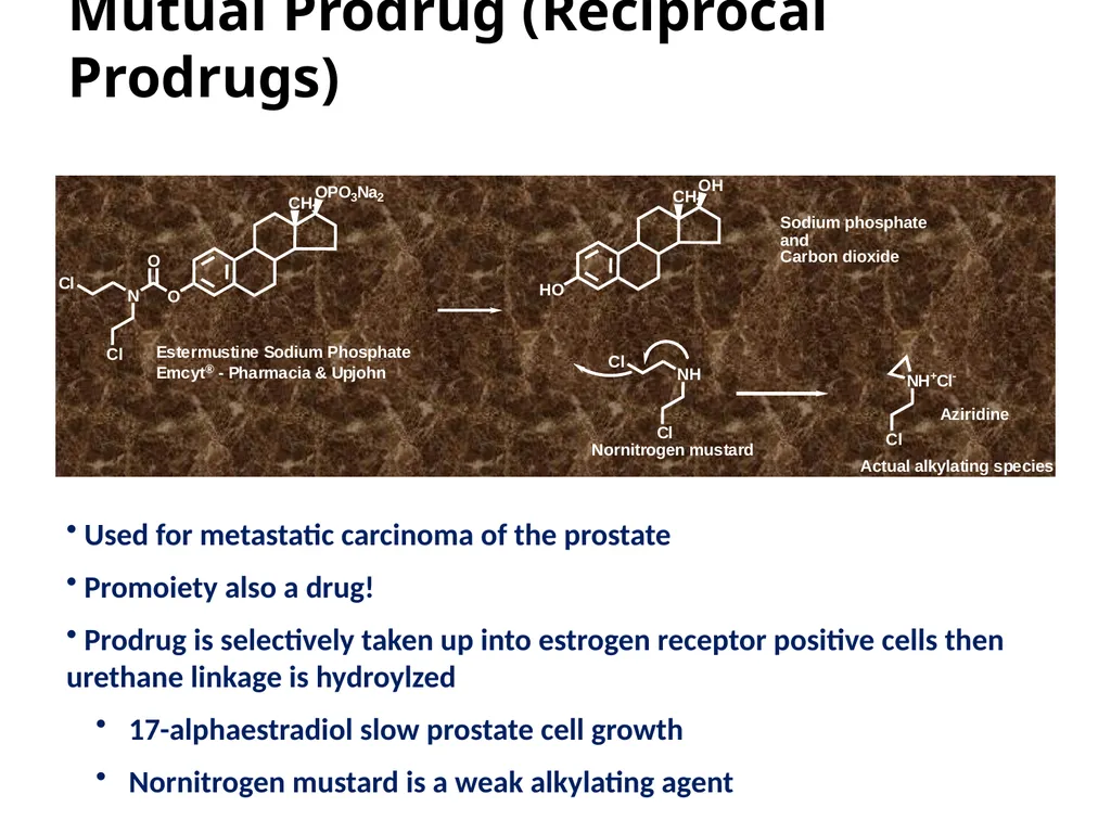 Prodrugs Basic concepts and application of - slide 52 of 68