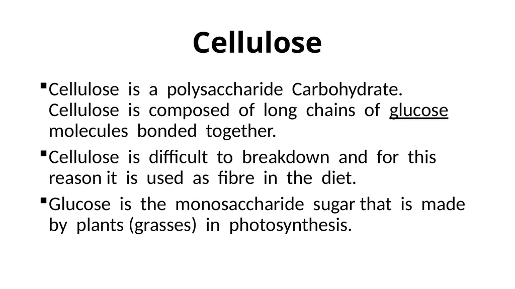 The Digestive System Ruminant Animals Monogastric - slide 5 of 22