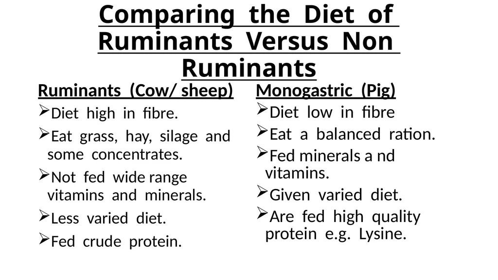 The Digestive System Ruminant Animals Monogastric - slide 16 of 22