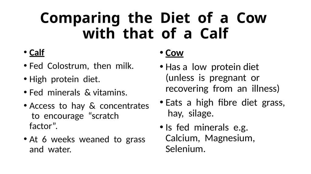 The Digestive System Ruminant Animals Monogastric - slide 15 of 22