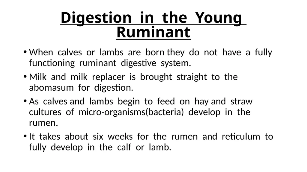 The Digestive System Ruminant Animals Monogastric - slide 14 of 22